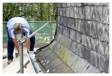 alte Villa, Bad Nauheim